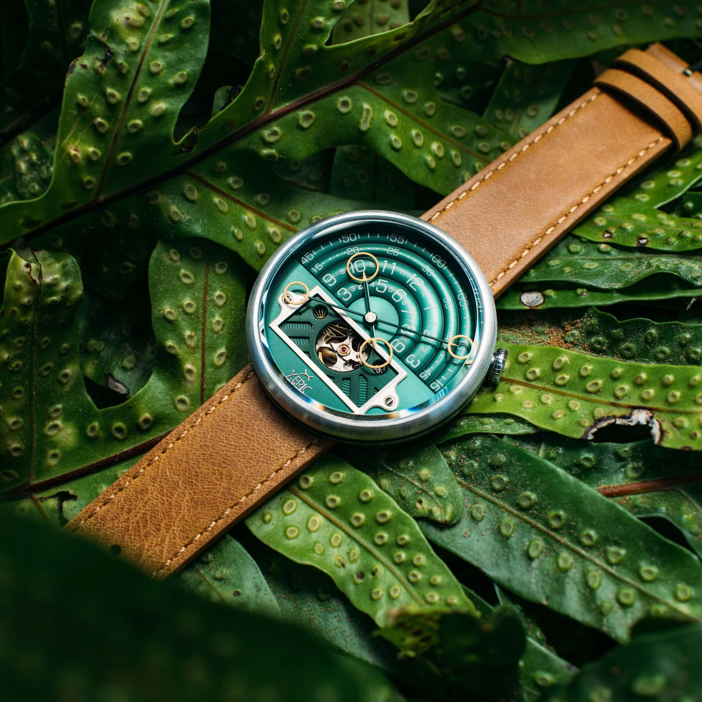 Timepieces That Defy the Ordinary